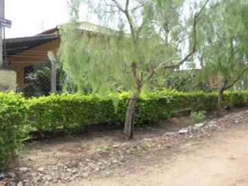 Comprar Rural / Ch&aacute;cara em S&atilde;o Jos&eacute; do Rio Preto R$ 1.500.000,00 - Foto 3