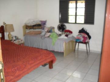 Comprar Rural / Ch&aacute;cara em S&atilde;o Jos&eacute; do Rio Preto R$ 1.500.000,00 - Foto 6