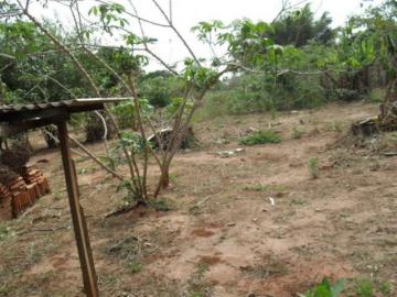 Comprar Rural / Ch&aacute;cara em S&atilde;o Jos&eacute; do Rio Preto R$ 1.500.000,00 - Foto 12