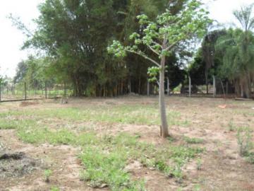 Comprar Rural / Ch&aacute;cara em S&atilde;o Jos&eacute; do Rio Preto R$ 1.500.000,00 - Foto 15