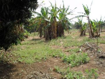 Comprar Rural / Ch&aacute;cara em S&atilde;o Jos&eacute; do Rio Preto R$ 1.500.000,00 - Foto 16