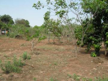 Comprar Rural / Ch&aacute;cara em S&atilde;o Jos&eacute; do Rio Preto R$ 1.500.000,00 - Foto 17