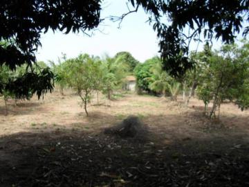 Comprar Rural / Ch&aacute;cara em S&atilde;o Jos&eacute; do Rio Preto R$ 1.500.000,00 - Foto 20