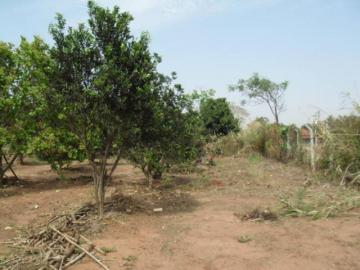 Comprar Rural / Ch&aacute;cara em S&atilde;o Jos&eacute; do Rio Preto R$ 1.500.000,00 - Foto 23