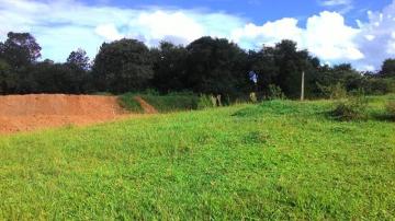 Comprar Terreno / &Aacute;rea em S&atilde;o Jos&eacute; do Rio Preto R$ 4.200.000,00 - Foto 4