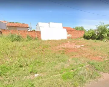Terreno / Padr&atilde;o em S&atilde;o Jos&eacute; do Rio Preto 