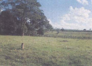 Comprar Terreno / &Aacute;rea em Votuporanga R$ 5.000.000,00 - Foto 5