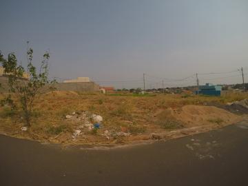 Alugar Terreno / Padr&atilde;o em S&atilde;o Jos&eacute; do Rio Preto. apenas R$ 150.000,00
