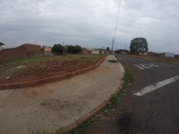 Terreno / Padr&atilde;o em S&atilde;o Jos&eacute; do Rio Preto 
