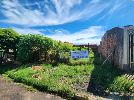 Terreno / Padr&atilde;o em S&atilde;o Jos&eacute; do Rio Preto 