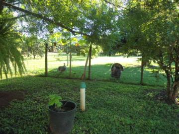 Comprar Casa / Condom&iacute;nio em Mirassol R$ 4.500.000,00 - Foto 34