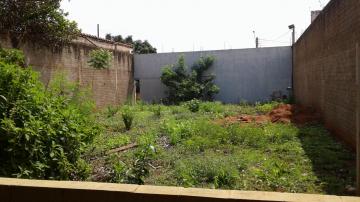 Comprar Casa / Padr&atilde;o em S&atilde;o Jos&eacute; do Rio Preto R$ 400.000,00 - Foto 8