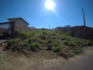 Alugar Terreno / Padr&atilde;o em Bady Bassitt. apenas R$ 85.000,00