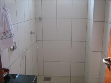 Alugar Apartamento / Padr&atilde;o em S&atilde;o Jos&eacute; do Rio Preto R$ 1.271,45 - Foto 4