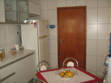 Alugar Apartamento / Padr&atilde;o em S&atilde;o Jos&eacute; do Rio Preto R$ 1.271,45 - Foto 7