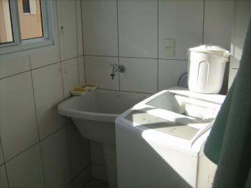 Alugar Apartamento / Padr&atilde;o em S&atilde;o Jos&eacute; do Rio Preto R$ 1.271,45 - Foto 8