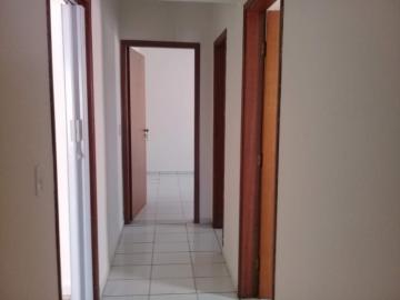 Alugar Casa / Padr&atilde;o em S&atilde;o Jos&eacute; do Rio Preto R$ 1.337,80 - Foto 4