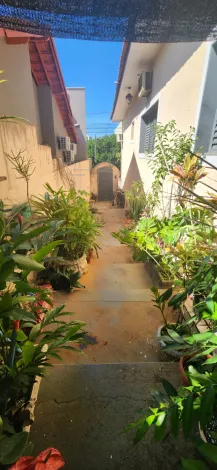 Alugar Casa / Padr&atilde;o em S&atilde;o Jos&eacute; do Rio Preto R$ 5.000,00 - Foto 24