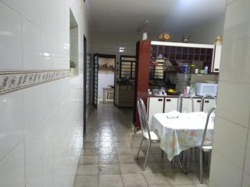 Alugar Casa / Padr&atilde;o em S&atilde;o Jos&eacute; do Rio Preto R$ 5.000,00 - Foto 7