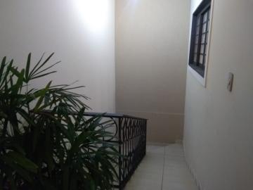 Alugar Casa / Padr&atilde;o em S&atilde;o Jos&eacute; do Rio Preto R$ 5.000,00 - Foto 17