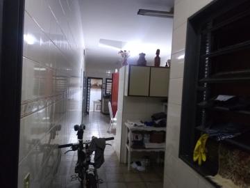 Alugar Casa / Padr&atilde;o em S&atilde;o Jos&eacute; do Rio Preto R$ 5.000,00 - Foto 6
