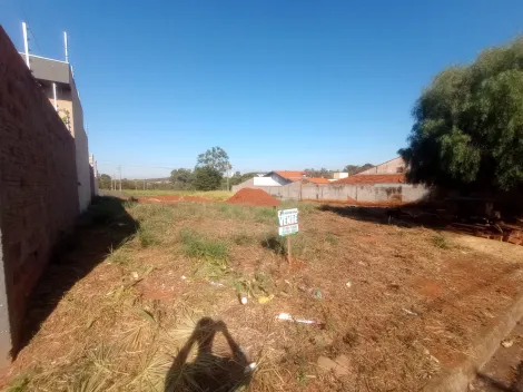 Comprar Terreno / Padr&atilde;o em Bady Bassitt R$ 84.000,00 - Foto 7