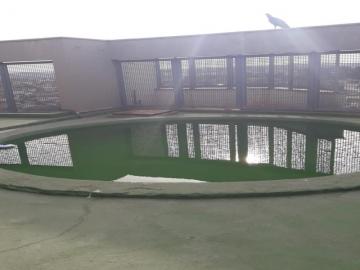 Comprar Apartamento / Cobertura em S&atilde;o Jos&eacute; do Rio Preto R$ 3.000.000,00 - Foto 20