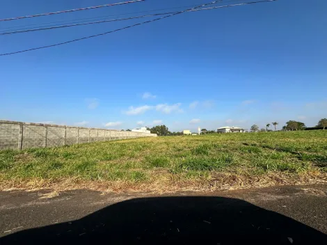 Comprar Terreno / Condom&iacute;nio em S&atilde;o Jos&eacute; do Rio Preto R$ 900.000,00 - Foto 2