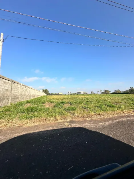 Comprar Terreno / Condom&iacute;nio em S&atilde;o Jos&eacute; do Rio Preto R$ 900.000,00 - Foto 4