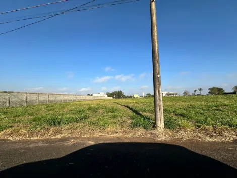 Comprar Terreno / Condom&iacute;nio em S&atilde;o Jos&eacute; do Rio Preto R$ 900.000,00 - Foto 9