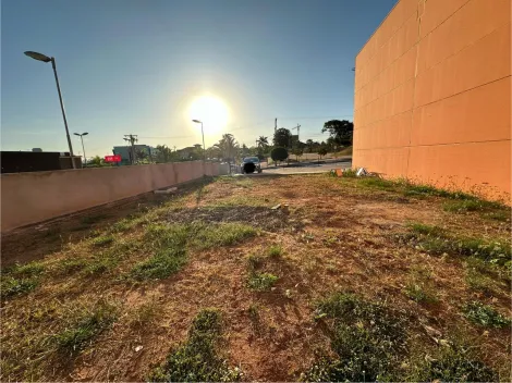Terreno / &Aacute;rea em S&atilde;o Jos&eacute; do Rio Preto 