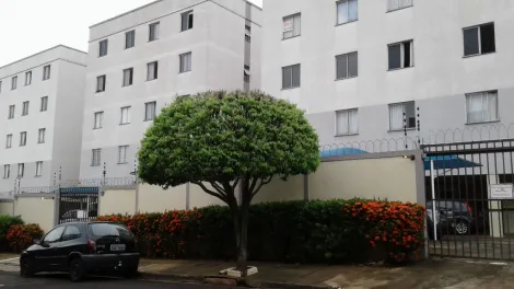 Comprar Apartamento / Padr&atilde;o em S&atilde;o Jos&eacute; do Rio Preto R$ 200.000,00 - Foto 13