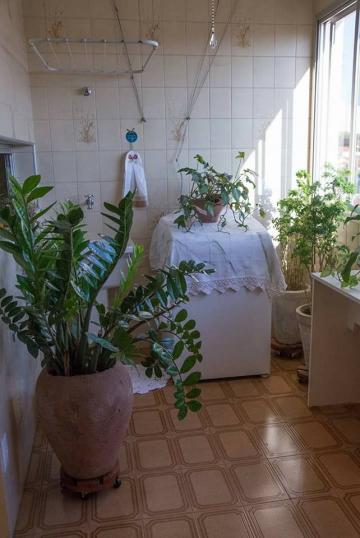 Alugar Apartamento / Padr&atilde;o em S&atilde;o Jos&eacute; do Rio Preto R$ 930,00 - Foto 28