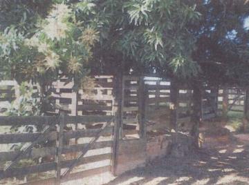 Comprar Rural / S&iacute;tio em Votuporanga R$ 5.200.000,00 - Foto 7