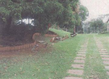 Comprar Rural / S&iacute;tio em Votuporanga R$ 5.200.000,00 - Foto 13