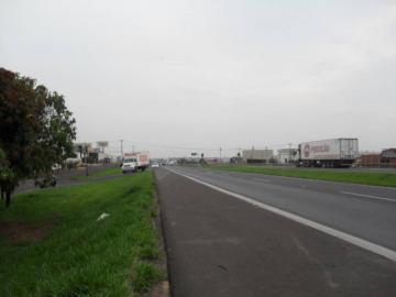Comercial / Sal&atilde;o em S&atilde;o Jos&eacute; do Rio Preto 