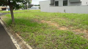 Comprar Terreno / Condom&iacute;nio em Bady Bassitt R$ 120.000,00 - Foto 13