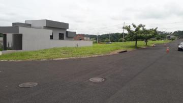 Comprar Terreno / Condom&iacute;nio em Bady Bassitt R$ 120.000,00 - Foto 15