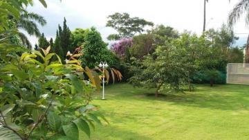 Comprar Rural / Ch&aacute;cara em Cedral R$ 1.700.000,00 - Foto 10