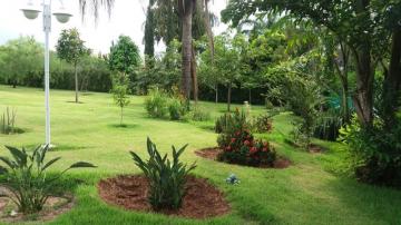 Comprar Rural / Ch&aacute;cara em Cedral R$ 1.700.000,00 - Foto 12