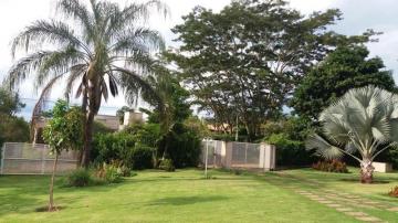 Comprar Rural / Ch&aacute;cara em Cedral R$ 1.700.000,00 - Foto 14