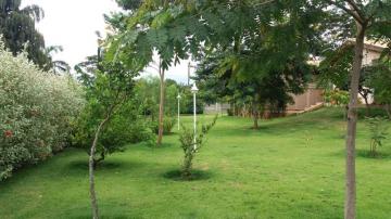 Comprar Rural / Ch&aacute;cara em Cedral R$ 1.700.000,00 - Foto 17