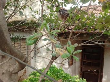 Comprar Terreno / Padr&atilde;o em S&atilde;o Jos&eacute; do Rio Preto R$ 1.000.000,00 - Foto 4