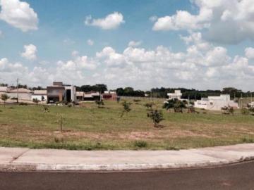 Terreno / Padr&atilde;o em Cedral 