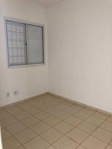 Alugar Casa / Condom&iacute;nio em S&atilde;o Jos&eacute; do Rio Preto R$ 850,00 - Foto 7