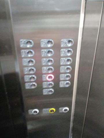 Alugar Apartamento / Padr&atilde;o em S&atilde;o Jos&eacute; do Rio Preto R$ 2.100,00 - Foto 19