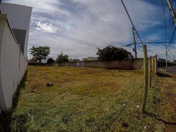 Alugar Terreno / &Aacute;rea em S&atilde;o Jos&eacute; do Rio Preto R$ 50.000,00 - Foto 9