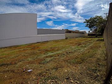 Alugar Terreno / &Aacute;rea em S&atilde;o Jos&eacute; do Rio Preto R$ 50.000,00 - Foto 10