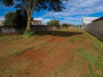Alugar Terreno / &Aacute;rea em S&atilde;o Jos&eacute; do Rio Preto R$ 50.000,00 - Foto 12