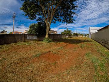Alugar Terreno / &Aacute;rea em S&atilde;o Jos&eacute; do Rio Preto R$ 50.000,00 - Foto 13